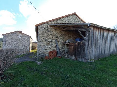 photo no. 4