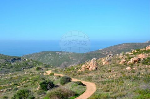 Situé dans le parc naturel de Cascais, à quelques minutes des plages de Malveira da Serra et de Guincho, vous avez ce terrain précieux de 7260 m2 avec une vue impressionnante sur l’océan Atlantique, face au sud. Anciennement cultivée, si vous souhait...