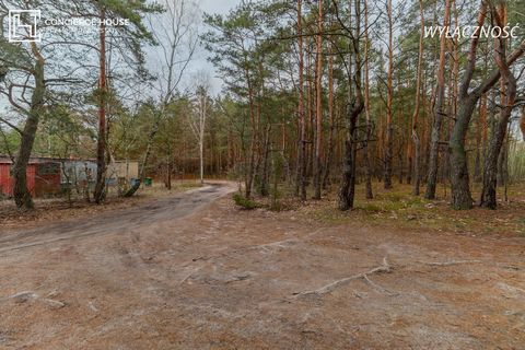 Jag presenterar en charmig skogstomt i stadsdelen Wesoła. I omedelbar närhet av vackra fastigheter, skogsområden och sällsynta småhus. Verktyg på ett avstånd av 180-200 m från tomten. Tomten omfattas inte av detaljplanen. Från och med 2026 upphör stu...