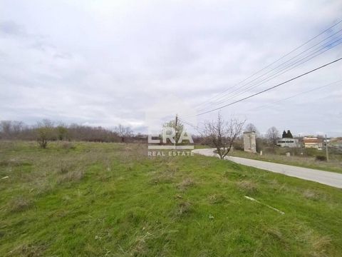 ERA Varna Trend offers for sale a regulated plot of land with an area of 4 499 sq.m, located on a main road in the village of Benkovski, Municipality of Varna. Avren, obl. Varna. The plot is flat. There is electricity and water on the border of the p...