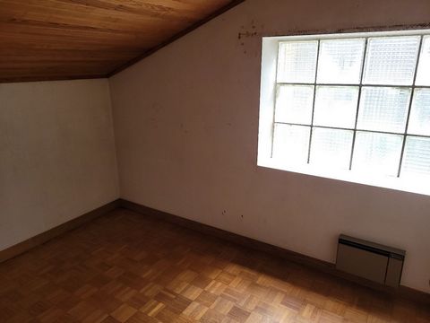 photo no. 20