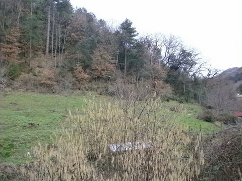photo no. 17