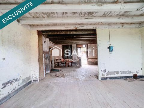photo no. 5