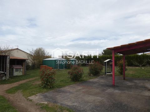 photo no. 8