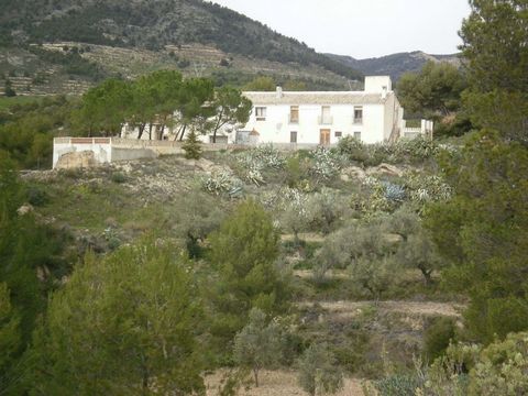 Amplia finca con más de 600.000 m² de terreno y potencial para hotel rural Enclavada en un paraíso natural virgen entre la histórica ciudad de Jijona y el encantador pueblo de Torremanzanas, esta enorme finca ofrece una oportunidad única para quienes...