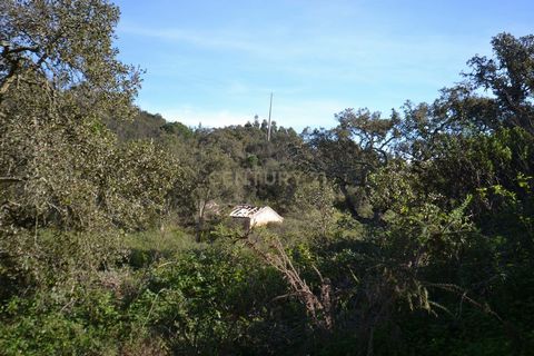 O terreno é composto por duas parcelas que estão unidas: Terreno Rústico com a totalidade de 41525 m2 e Urbano (existência de uma ruina de 55m2 a necessitar de remodelação total) vila de Barranquinha, freguesia de Porto Covo, Concelho de Sines. O ter...