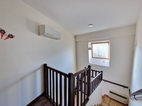 photo no. 7