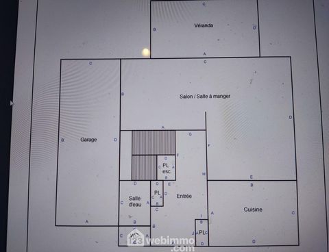 photo no. 12