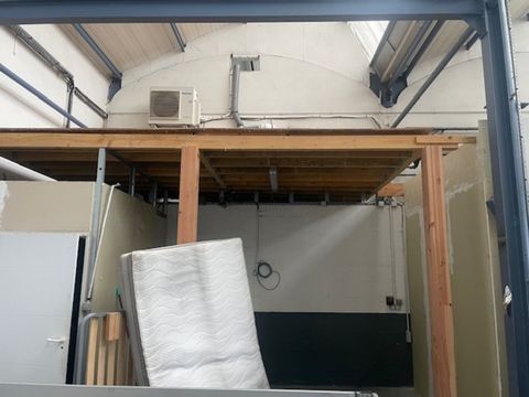 photo no. 2