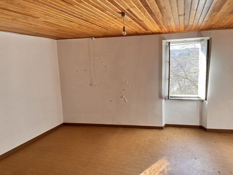 photo no. 19