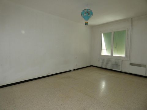 photo no. 6