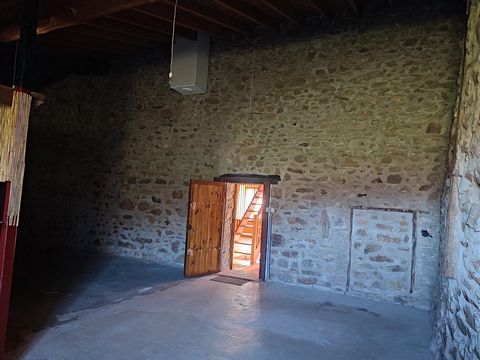 photo no. 8