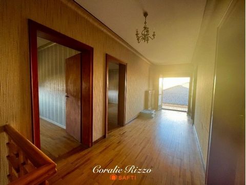 photo no. 15