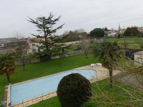 photo no. 1