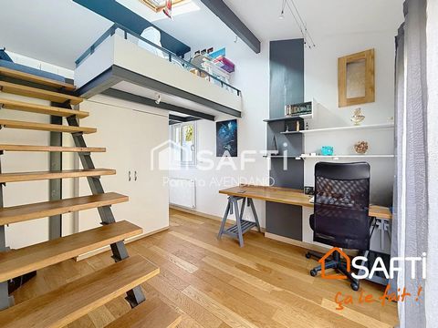 photo no. 15