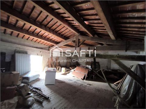 photo no. 1