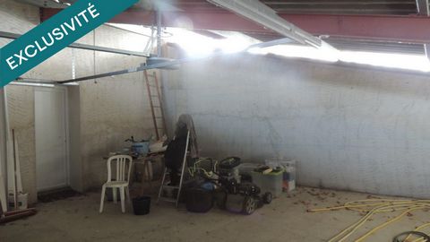 photo no. 13