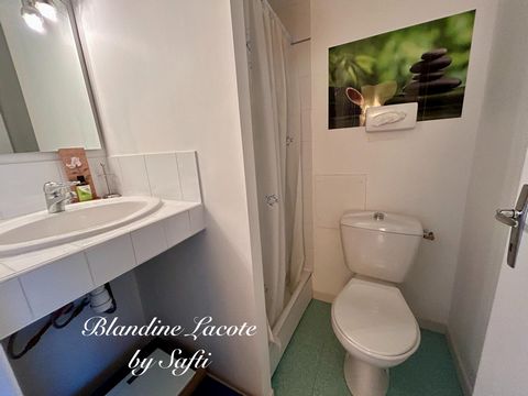 photo no. 8