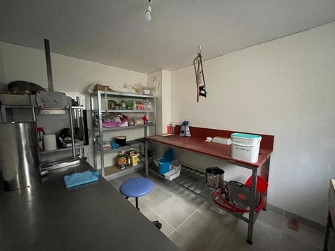 photo no. 5