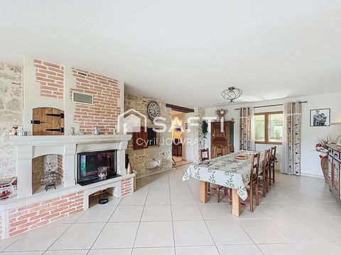 photo no. 11