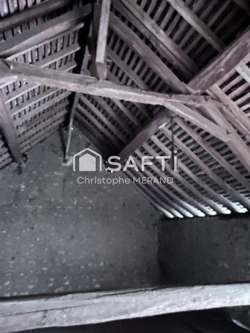 photo no. 8