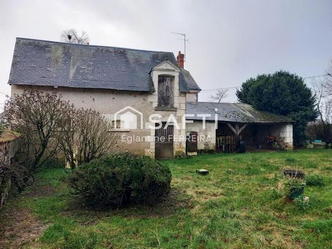 photo no. 11
