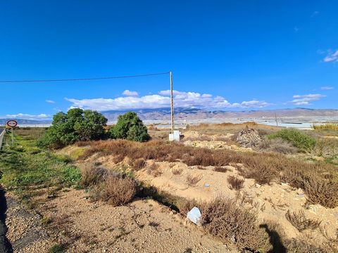 Magnifique terrain rustique de 16 169 m² à vendre, stratégiquement situé entre Las Norias de Daza et La Mojonera, dans l'une des zones agricoles les plus productives et les plus recherchées de la région. Sa situation privilégiée offre un accès rapide...