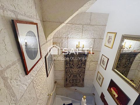 photo no. 7