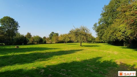 photo no. 17