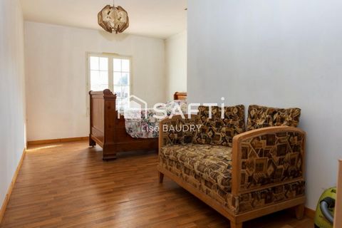 photo no. 6