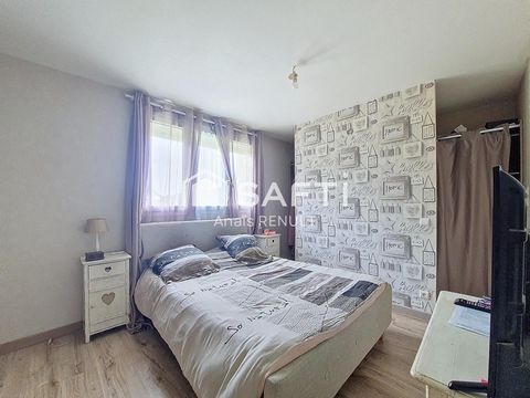 photo no. 11
