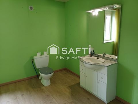 photo no. 11