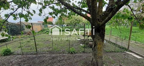 photo no. 14