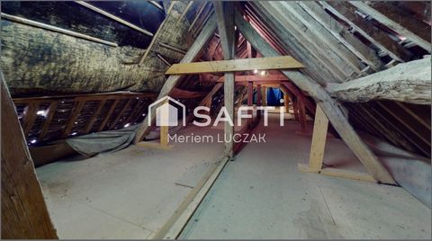 photo no. 9