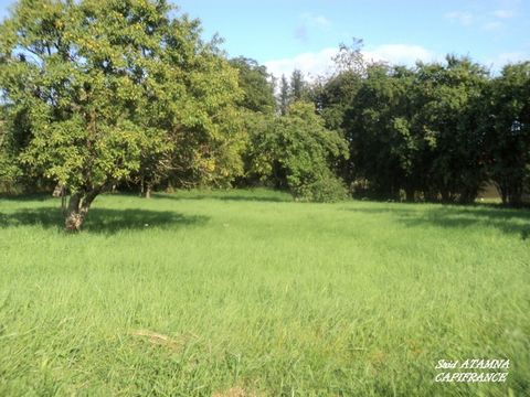 photo no. 2