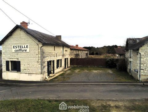 photo no. 15