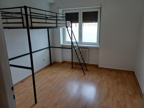 photo no. 17