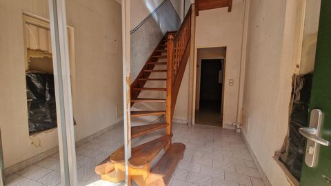 photo no. 7