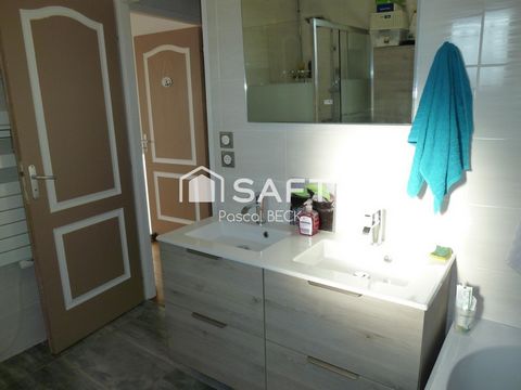 photo no. 11