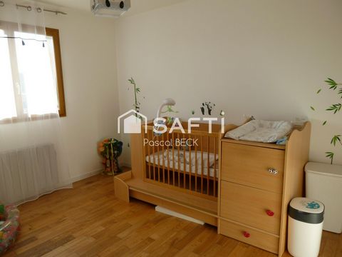 photo no. 12