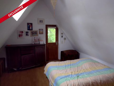photo no. 6