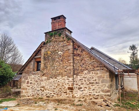 photo no. 5