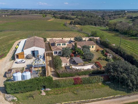 Domaine viticole dans la partie la plus recherchée de l'AOP Costière de Nîmes.