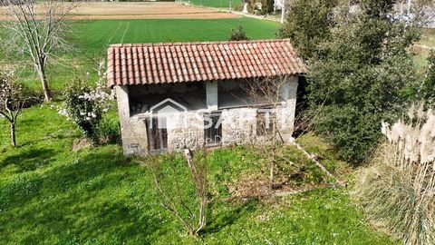 photo no. 19