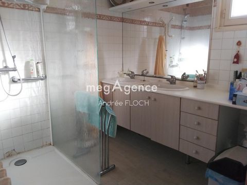 photo no. 6