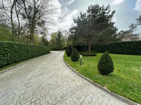 photo no. 1