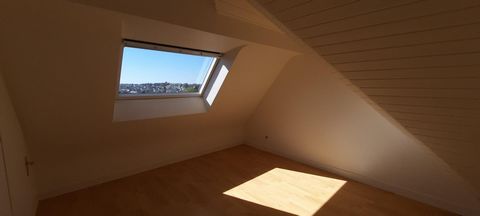 photo no. 11