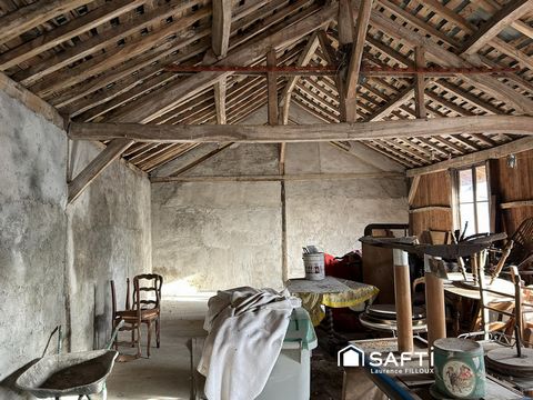 photo no. 7