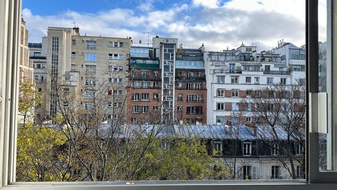 photo no. 11