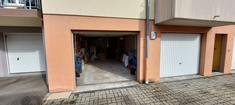 photo no. 6